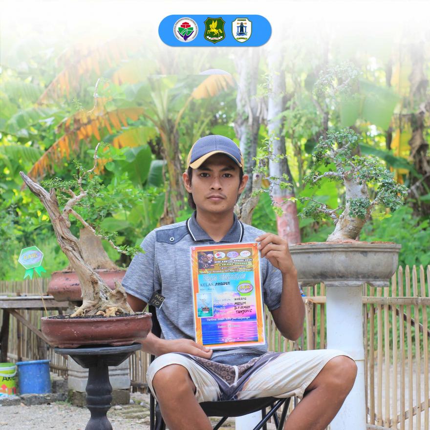 Pemuda Desa Tanjung Raih Juara dalam Kontes Bonsai